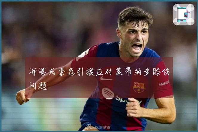 海港或紧急引援应对莱昂纳多膝伤问题