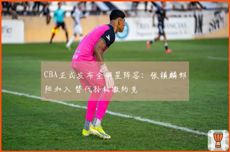 CBA正式发布全明星阵容：张镇麟邹阳加入 替代孙铭徽约克