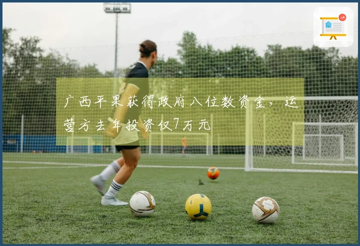 广西平果获得政府八位数资金，运营方去年投资仅7万元