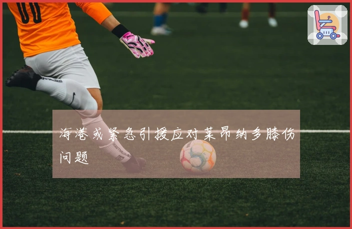 海港或紧急引援应对莱昂纳多膝伤问题