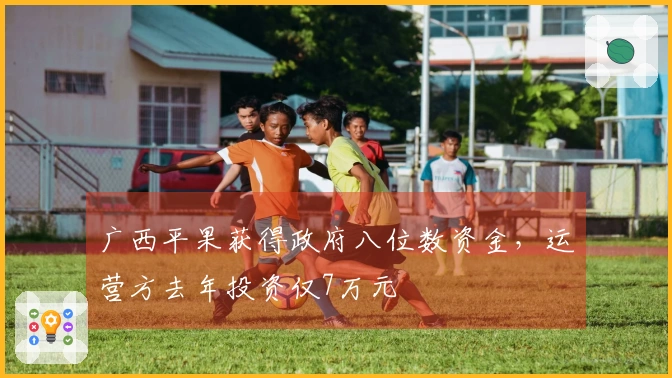 广西平果获得政府八位数资金，运营方去年投资仅7万元